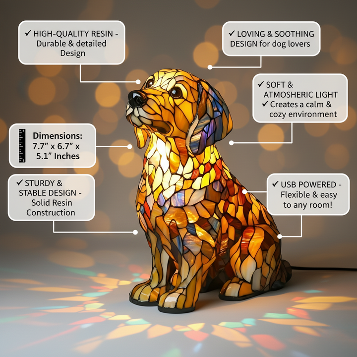 Zen, a Nyugodt Arany Retriever